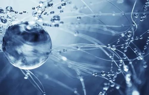 10岁要补多少微克硒水(补硒的水)-硒宝网