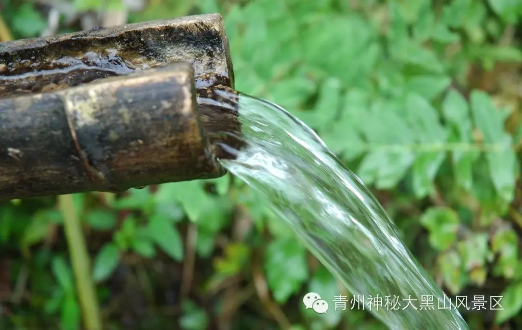 10岁要补多少微克硒水（微量的硒可以干什么）-硒宝网