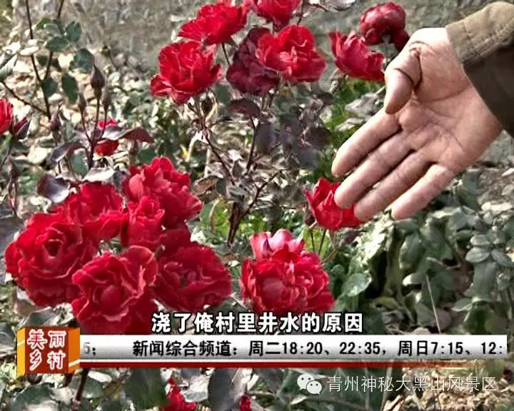 10岁要补多少微克硒水（微量的硒可以干什么）-硒宝网