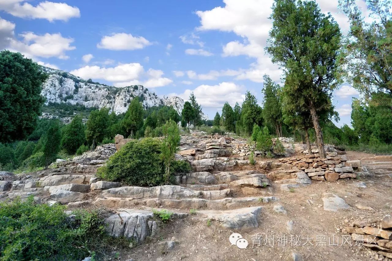 10岁要补多少微克硒水（微量的硒可以干什么）-硒宝网