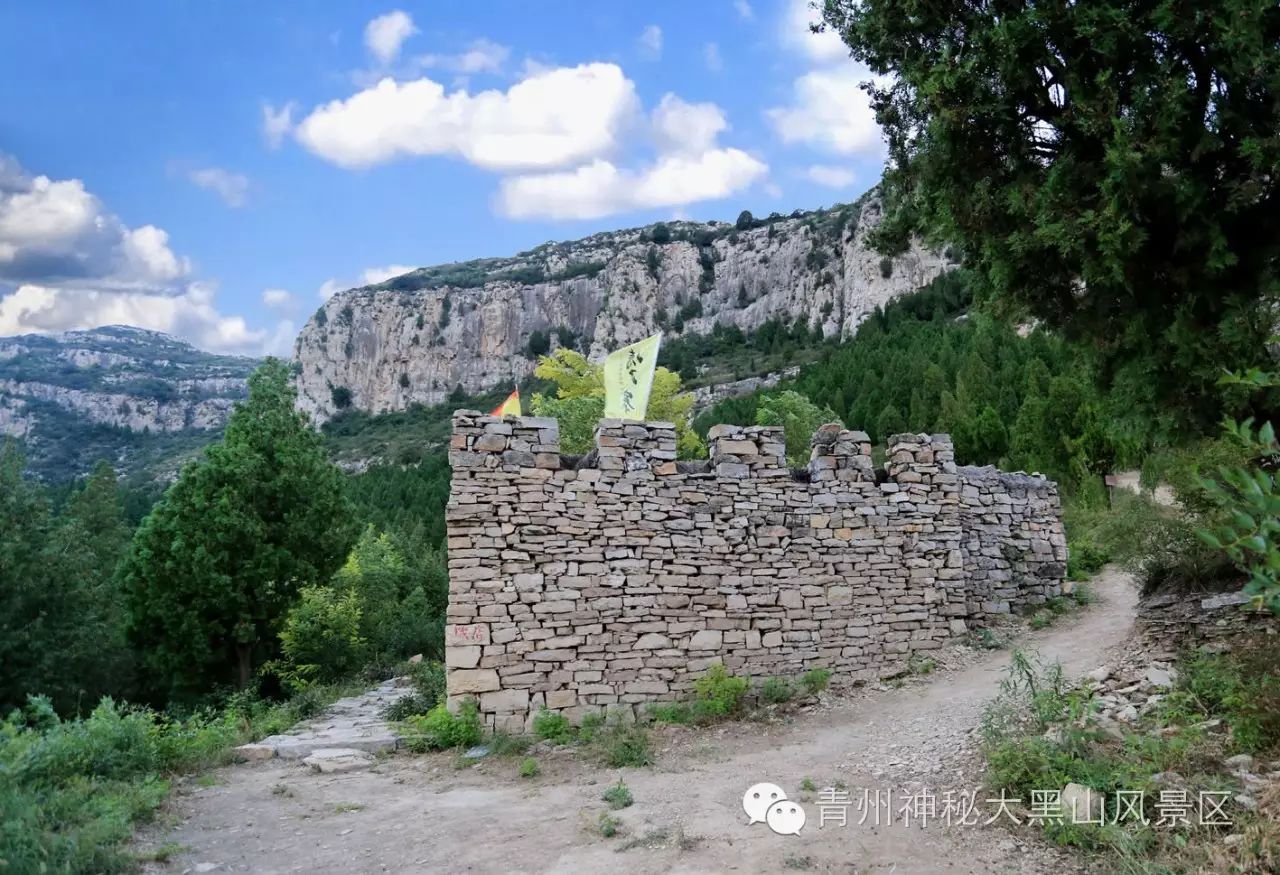 10岁要补多少微克硒水（微量的硒可以干什么）-硒宝网