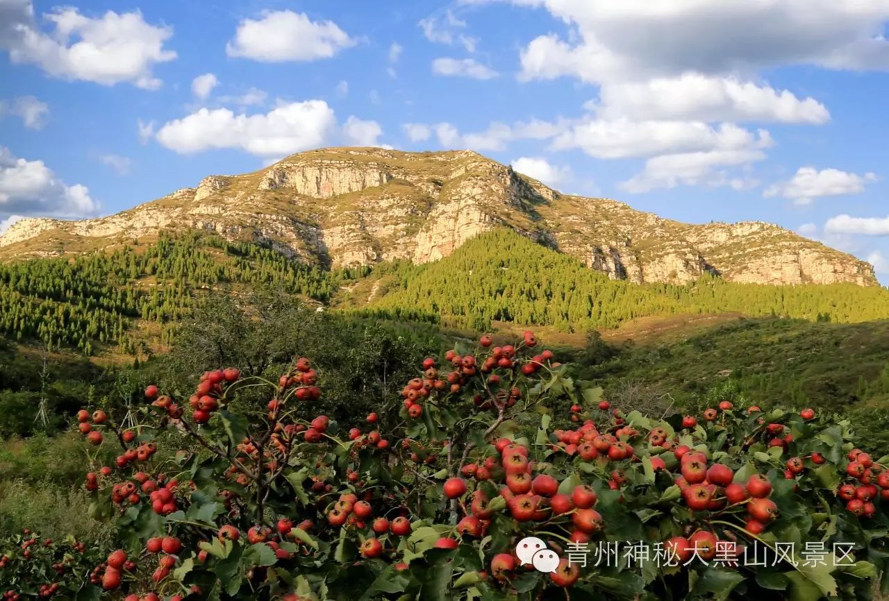 10岁要补多少微克硒水（微量的硒可以干什么）-硒宝网