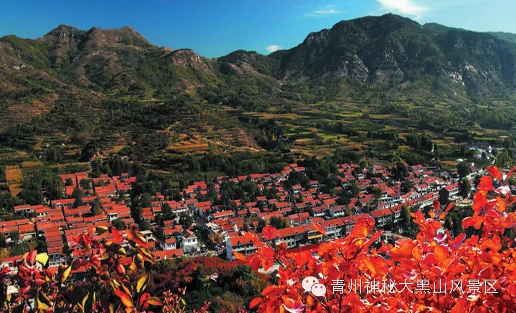 10岁要补多少微克硒水（微量的硒可以干什么）-硒宝网