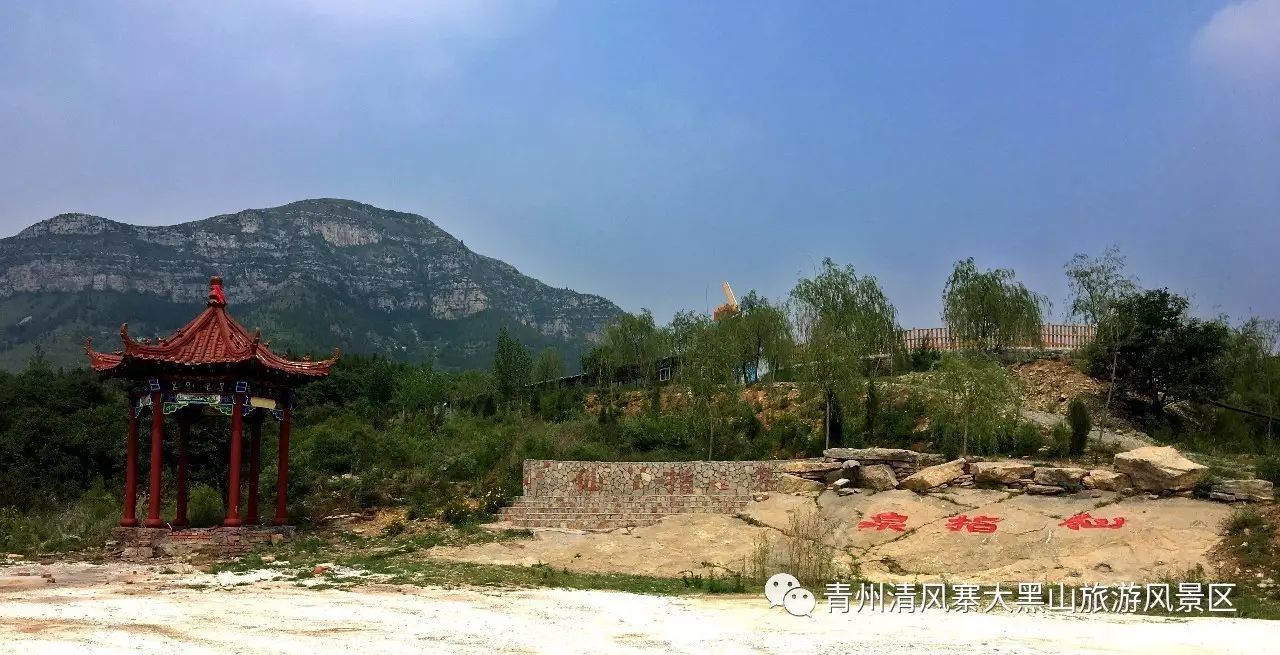 10岁要补多少微克硒水（微量的硒可以干什么）-硒宝网