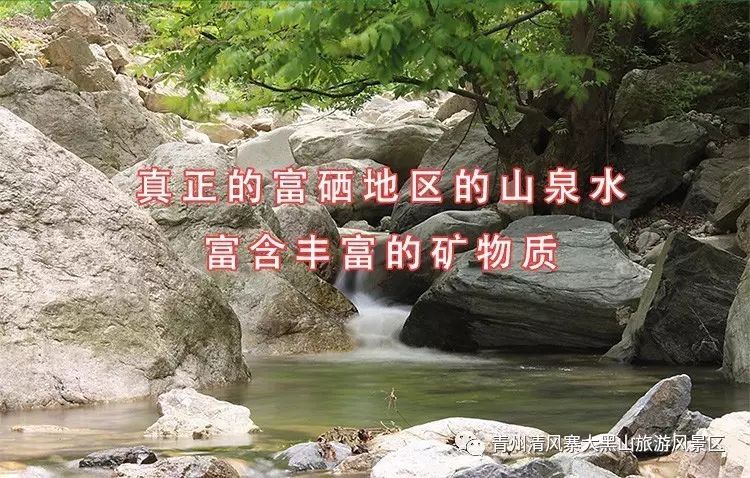 10岁要补多少微克硒水（微量的硒可以干什么）-硒宝网