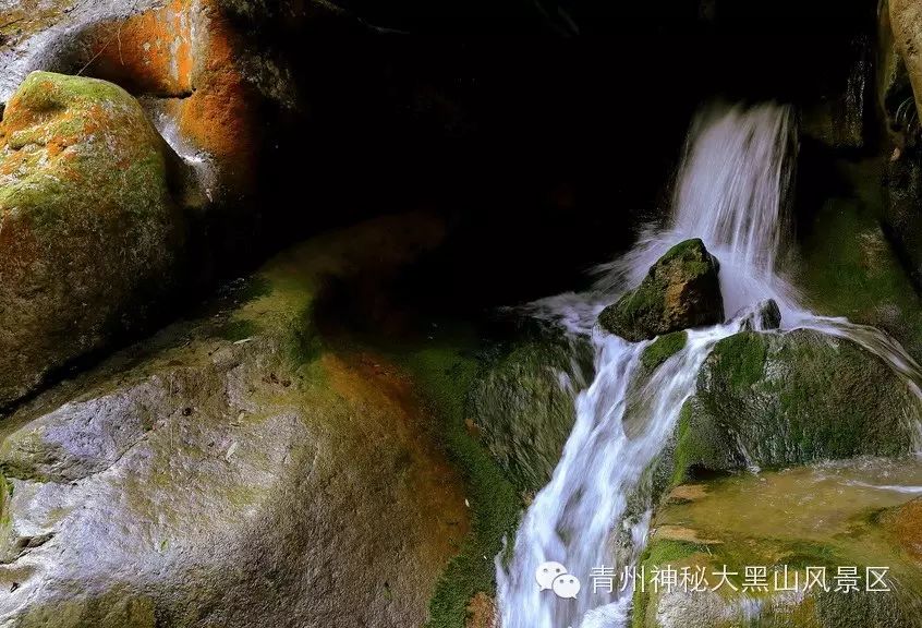 10岁要补多少微克硒水（微量的硒可以干什么）-硒宝网