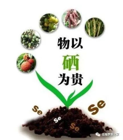 补硒标准多少克为标准呢(标准补克硒为多少毫克)-硒宝网