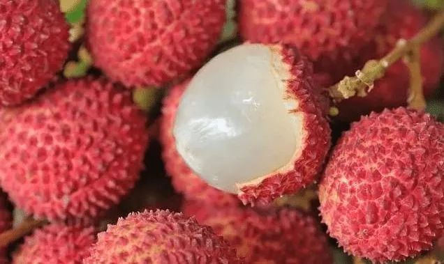 甲状腺癌可以补硒嘛女性(甲状腺癌能吃硒酵母吗)-硒宝网