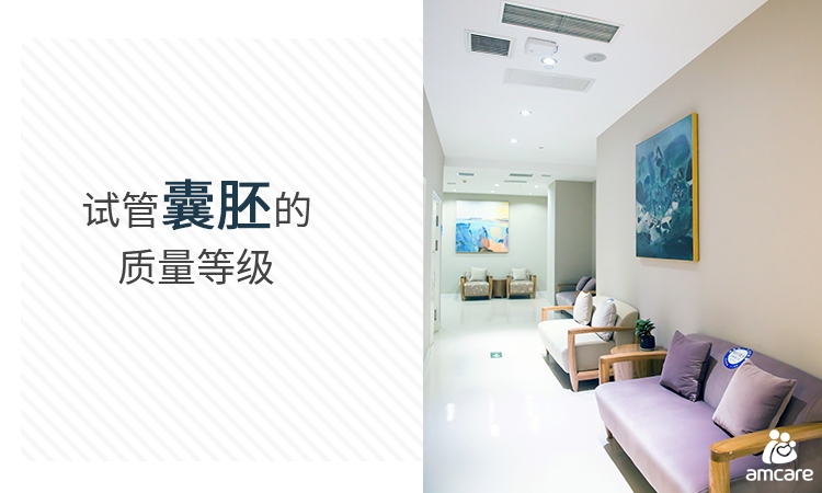 备孕补硒对卵子什么作用(备孕补硒的好处)-硒宝网