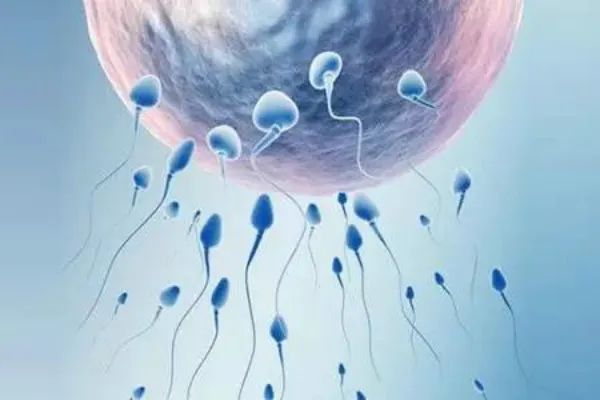 补锌补硒对男什么有什么(补锌硒对男人有什么好处)-硒宝网