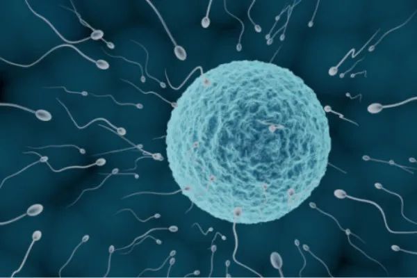 补锌补硒对男什么有什么(补锌硒对男人有什么好处)-硒宝网