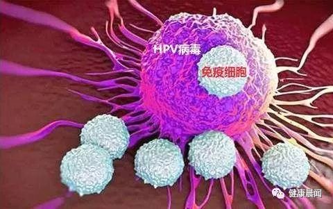 男性要补硒吗怎么吃药好(男人补硒能提高性功能吗)-硒宝网