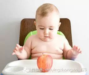 婴儿缺锌缺硒怎么补最好（婴儿缺硒有什么症状）-硒宝网