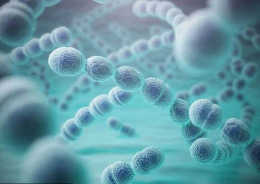 怎样补硒最健康最有效呢(补有效健康硒的食物)-硒宝网