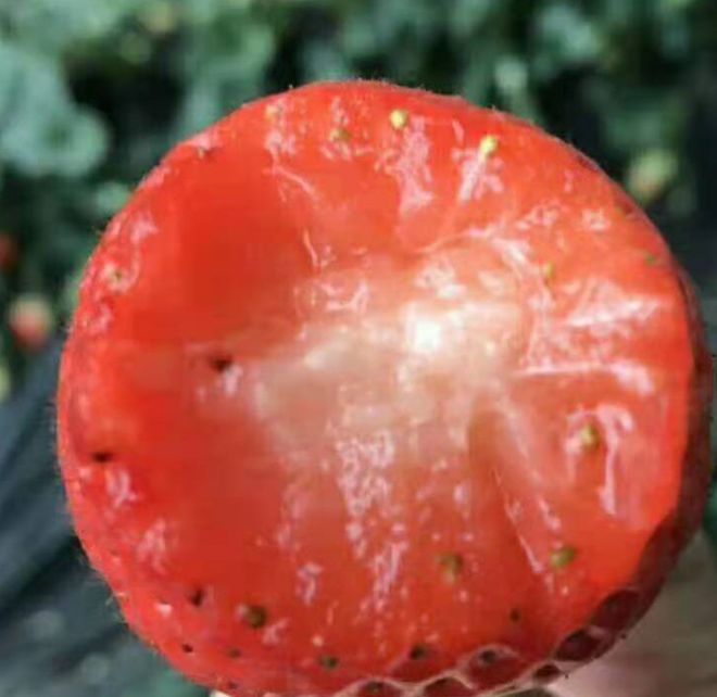 吃五种水果补硒好吗女性(吃什么水果补硒效果最好)-硒宝网