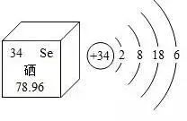 人体补硒和补肽哪一种好(补充硒肽有啥好处)-硒宝网
