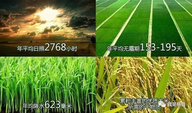 补硒防癌作用到底有多大(抗癌补硒用量)-硒宝网