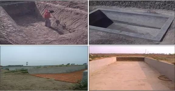 怎么样给牛补硒效果好呢（牛补硒过量多长时间出现反应）-硒宝网