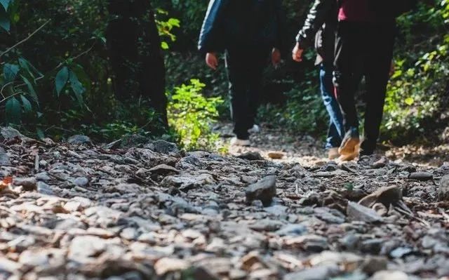 抵抗力差的每天补多少硒(提高免疫力每天补多少硒)-硒宝网