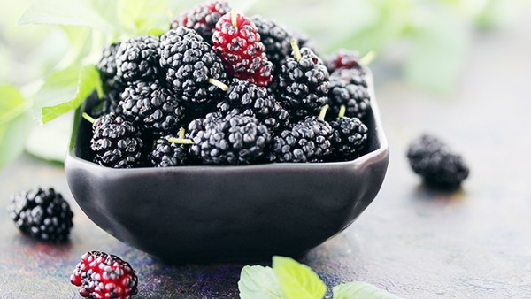 黑桑葚干泡水喝能补硒吗（黑桑葚干泡水补肾吗）-硒宝网