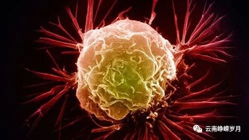 补硒对肾衰竭有哪些好处(吃硒治疗肾衰竭)-硒宝网