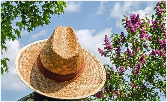 补硒后头发不掉了正常吗（掉补头发正常硒后会变黑吗）-硒宝网