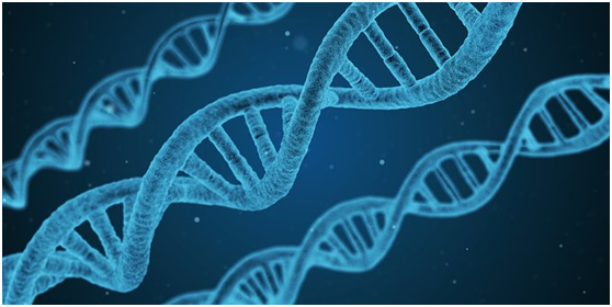 补硒后头发不掉了正常吗（掉补头发正常硒后会变黑吗）-硒宝网