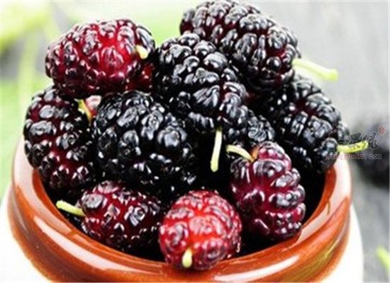 免疫力低下能补硒吗孕妇（孕妇免疫力低吃什么补得快）-硒宝网