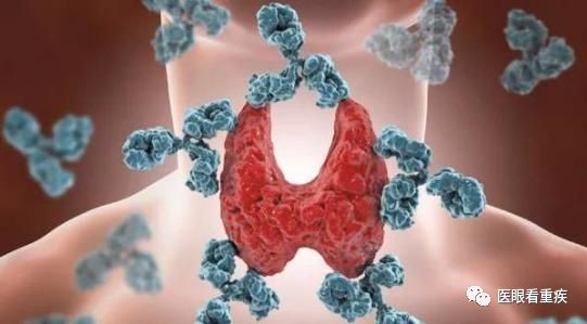 单纯甲减要补硒吗吃什么（甲减补硒要补多长时间）-硒宝网