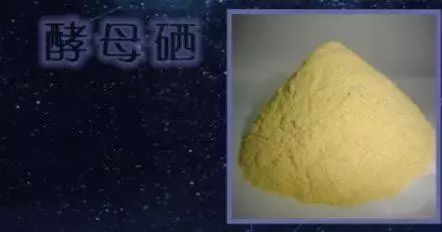 药店有好的补硒的产品吗(药店补好产品硒有哪些)-硒宝网