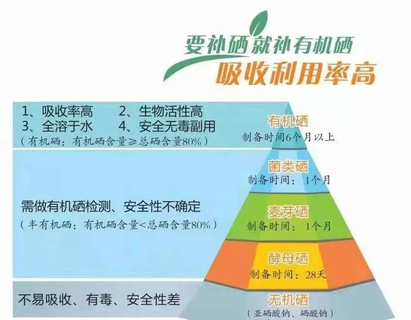 药店有好的补硒的产品吗(药店补好产品硒有哪些)-硒宝网