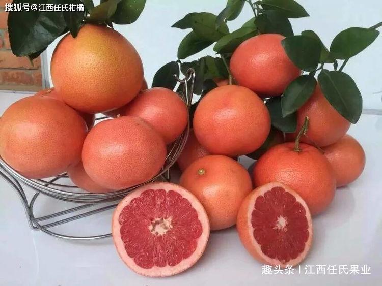 一天要补多少硒元素最好（补硒每天补多少合适）-硒宝网