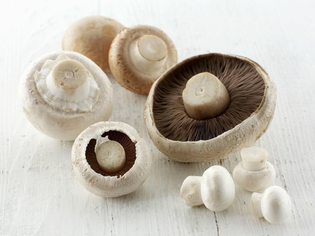 什么样的疾病需要补硒的（什么病需要补充硒）-硒宝网