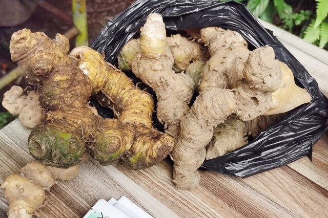 补硒后能发胖吗吃什么好(硒吃了会胖吗)-硒宝网