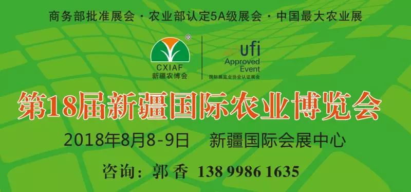 缺锌缺铁缺钙缺硒怎么补(缺钙铁锌硒什么意思)-硒宝网