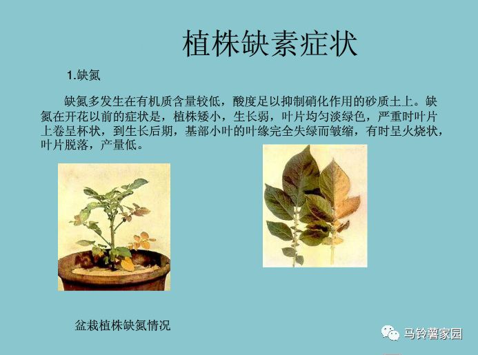 缺锌缺铁缺钙缺硒怎么补(缺钙铁锌硒什么意思)-硒宝网