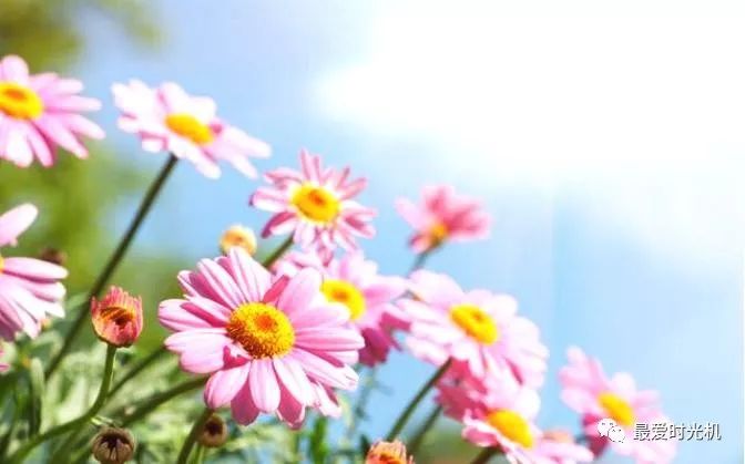 出血病人能补硒吗吃什么（出血病人能补吃硒元素吗）-硒宝网