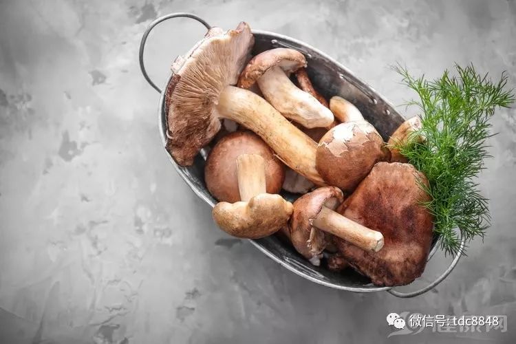 吃腰果补硒要吃多少克的(腰果补硒吗)-硒宝网