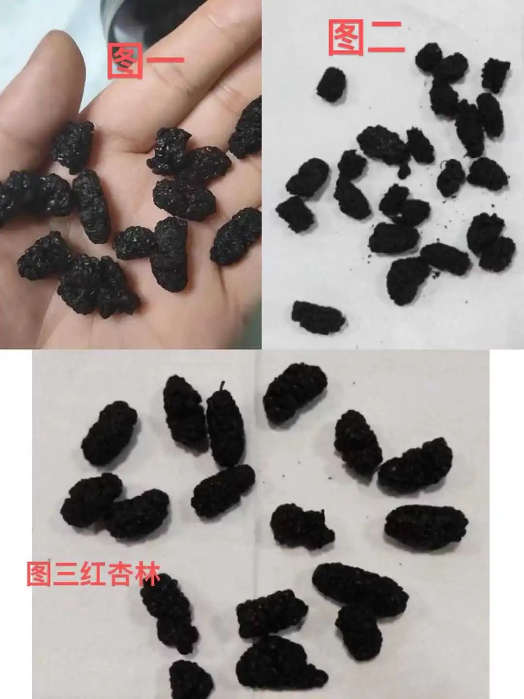 补硒后精神好了吗吃什么(吃了硒后精神特别好)-硒宝网