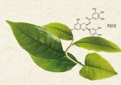 乳腺癌补硒食物有哪些呢（乳腺癌吃硒有用吗）-硒宝网