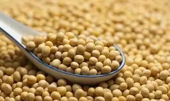 乳腺癌补硒食物有哪些呢（乳腺癌吃硒有用吗）-硒宝网