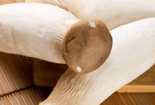 昔有啥好处补硒有啥好处(补硒有效果吗)-硒宝网