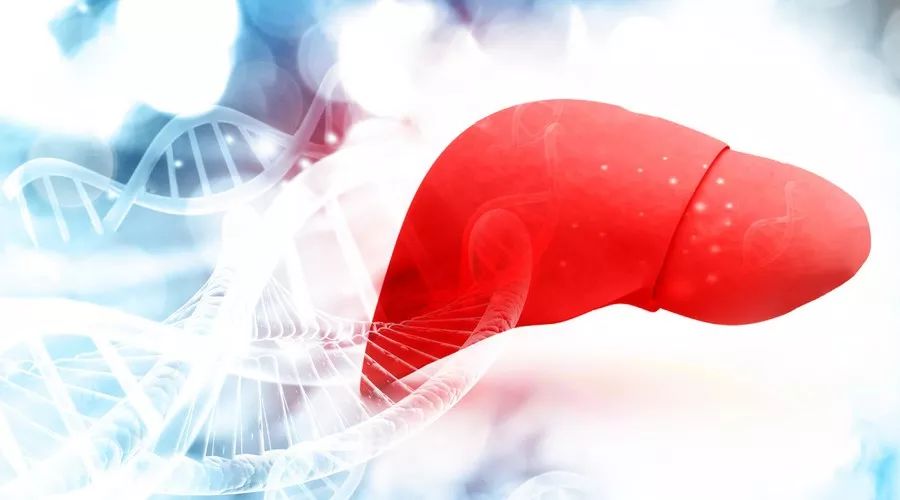 脂肪肝如何治疗怎么补硒（硒片对脂肪肝有作用吗）-硒宝网