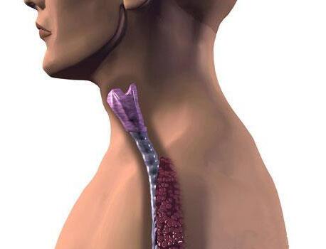 食管癌治疗后可以补硒吗(硒与食管癌的作用)-硒宝网