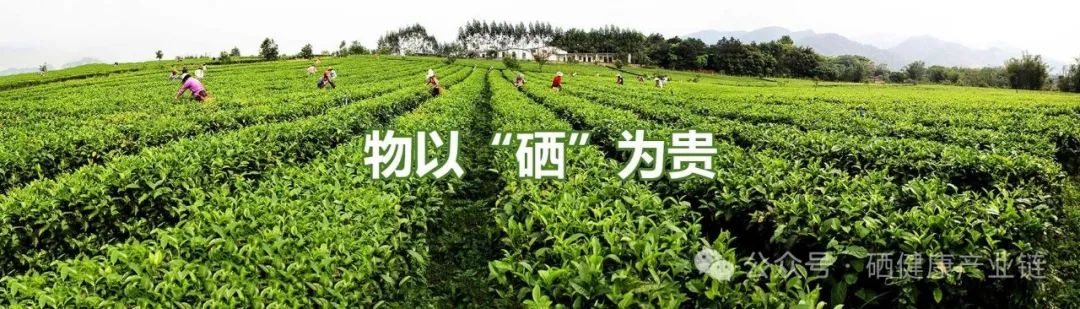 甲状腺癌怎样补硒好的快（甲状腺癌吃硒片好吗）-硒宝网