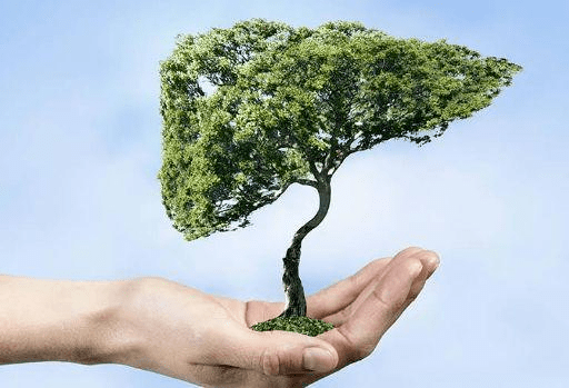 补硒多了会出现肝襄肿吗（肝襄肿吃什么东西有好处）-硒宝网