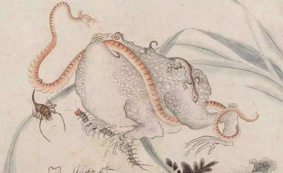 男人补硒吃什么保健品好(男人补硒吃什么药好)-硒宝网