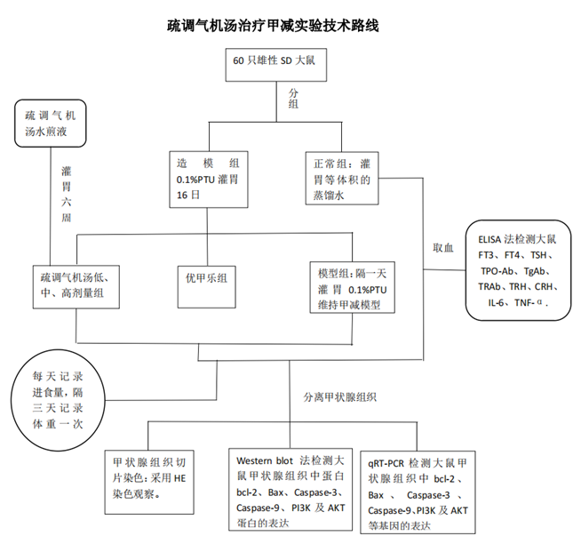 桥本氏甲状腺炎补硒的药（桥本氏甲状腺炎补硒）-硒宝网