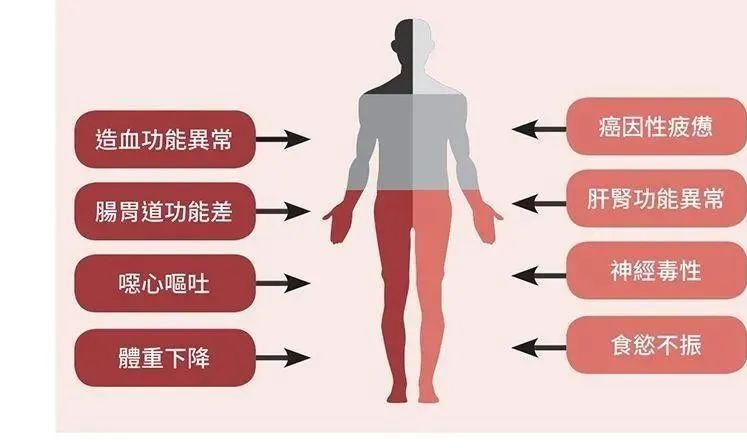 免疫疾病可以补硒吗百度（补硒可以提高免疫力）-硒宝网