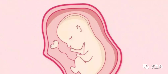 怀孕期间补多少硒最好呢（孕期补硒的作用）-硒宝网